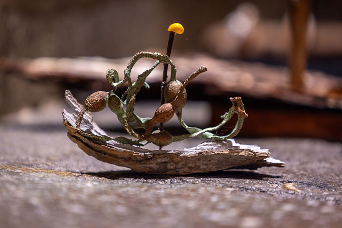 Small driftwood vessel. Copper plated egg wrack, periwinkle, driftwood (photo Mud and Thunder)